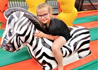 /album/detske-aktivni-centrum-safari/safari-zebra1-jpg/